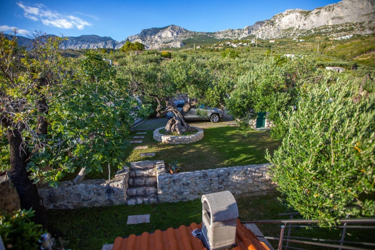 Villa Old Olive, 3Lovelyvillas Podgora Zewnętrze zdjęcie