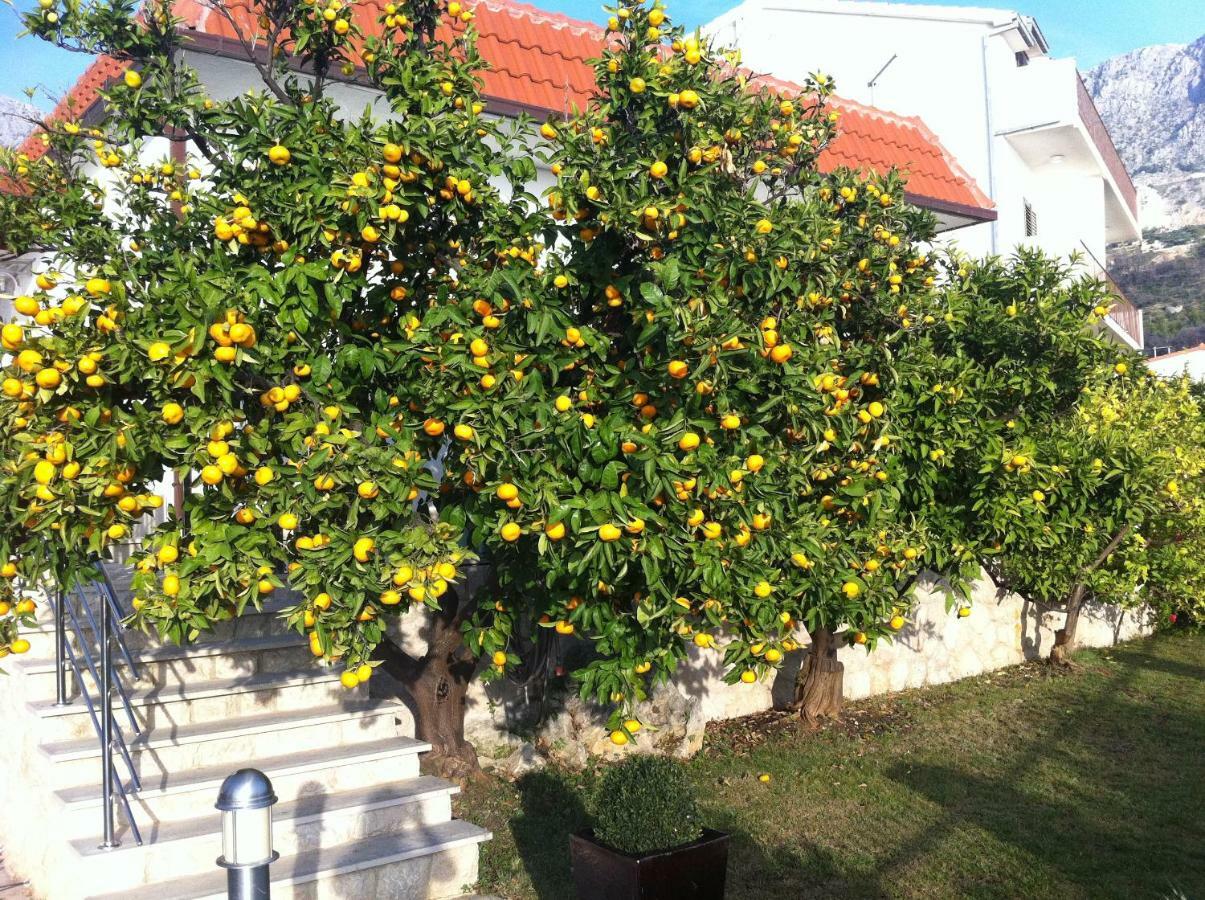 Villa Old Olive, 3Lovelyvillas Podgora Zewnętrze zdjęcie